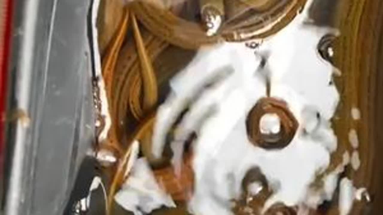 今日勉强及格，下午打的散网，期待下明天~ #真实户外 #黄鳝