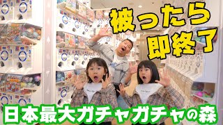 ガチャガチャ被ったら即終了日本最大ガチャガチャの森で被るまで終われまてんやってみた♪himawariCH