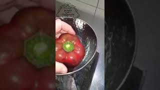 חפשו את האקרית על הגמבה - כשר 1