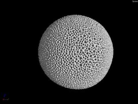 SR μ-CT imaging of planktonic foraminifera (Orbulina universa)