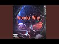 Wonder Why (feat. Zamir)