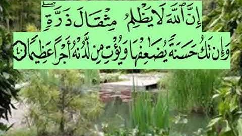 سورة النساء اية ٤٠ جمال القرش