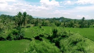 keindahan alam,jalur ciranjang ke arah cibeber #kab.cianjur#