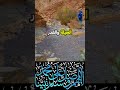 صائدو النيازك محتوى عربي 