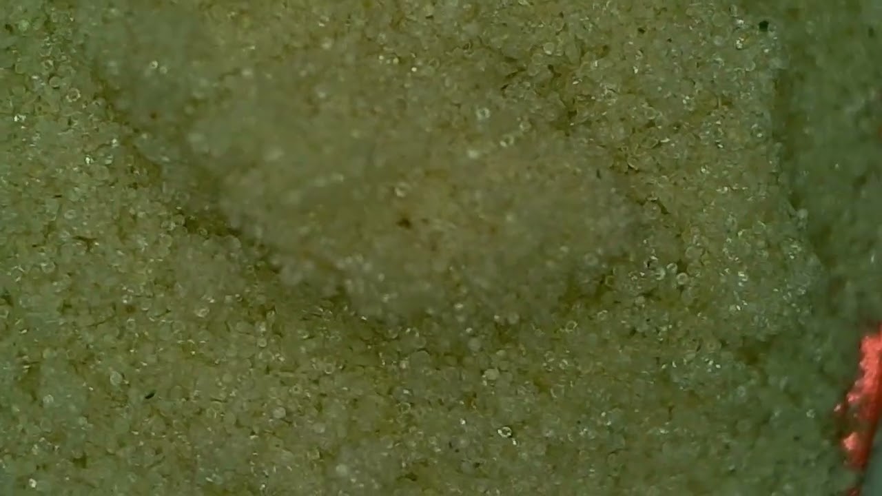 Comparing Different Microns of Hash! (45, 72, 90, 120, 140, 160)