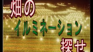 【噂】深夜にしか見れないイルミネーションを探せ【沖縄】