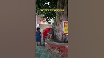 शनिवार के दिन पीपल के वृक्ष में सरसों के तेल का दीप लगता है! |पंडित प्रदीप मिश्रा| #upay #motivation