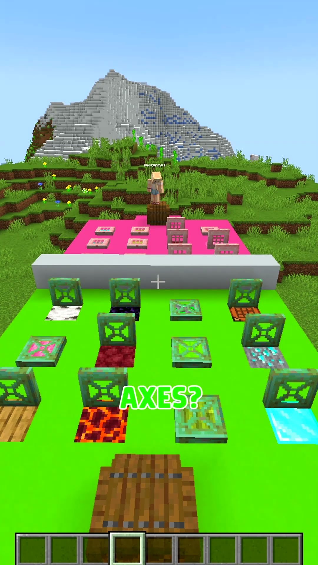 Guess The Block in Minecraft!