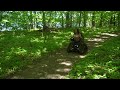 MN DNR All-Terrain Track Chair
