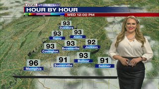 West Tennessee Forecast