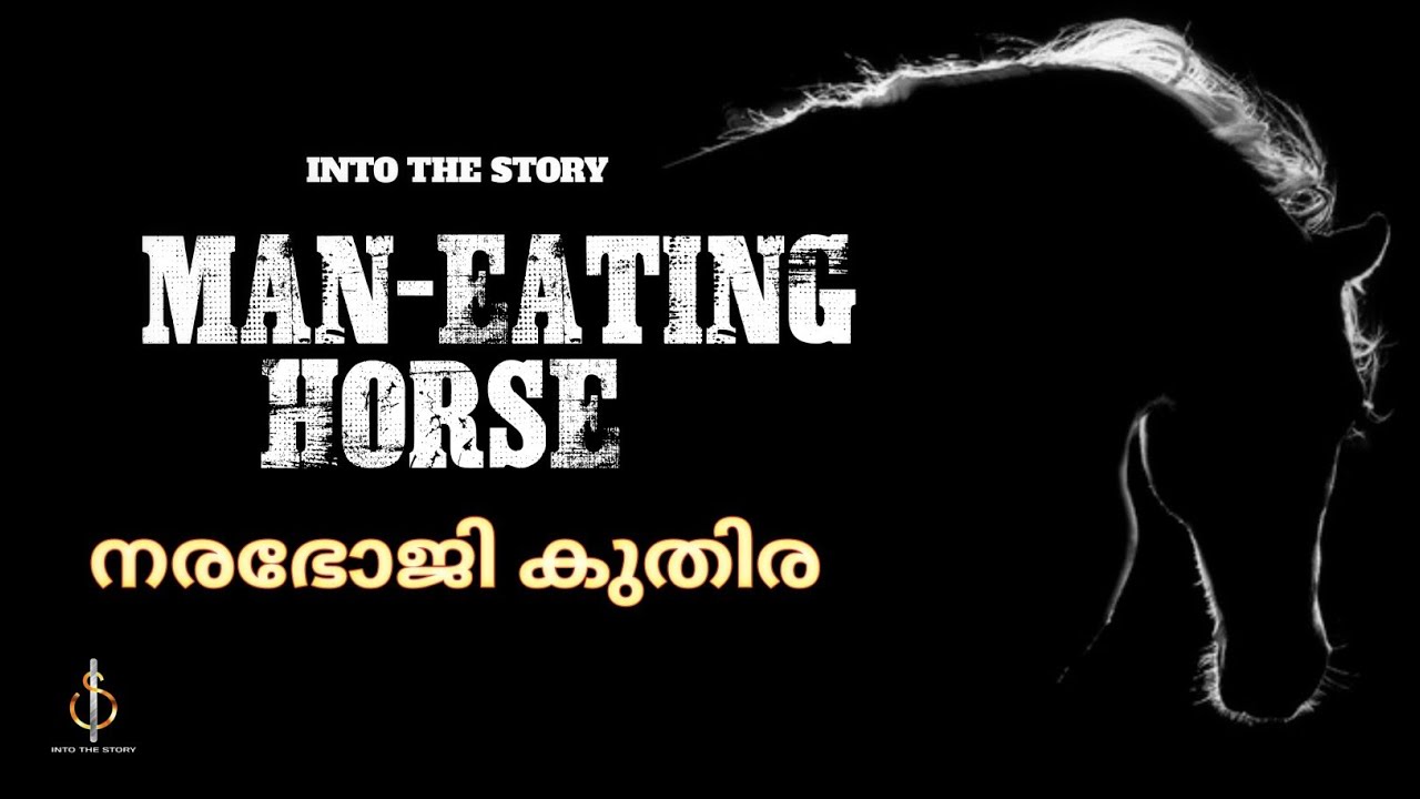 നരഭോജി കുതിര | Maneating horses |Man eaters|#intothestory #Narabhoji #നരഭോജി #hunting  #juliusmanuel