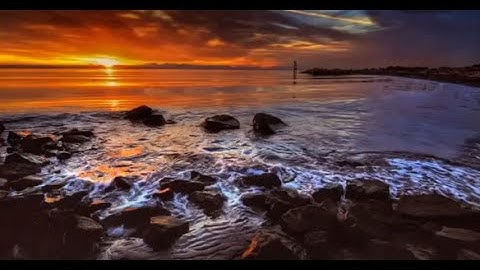 تلاوة هادئه من اواخر سورة الزمر  القارئ مصطفي علي