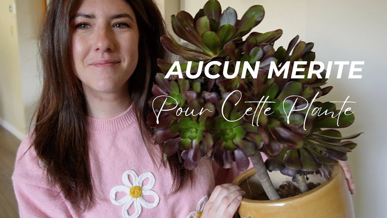 Parfois ça pousse tout seul :) feat. Mon monstre d'Aéonium