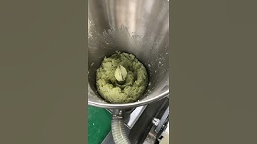 Chinese manufacturer of on automatic dumpling machine