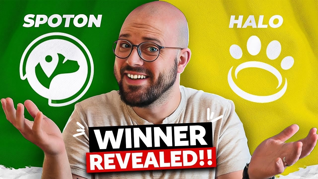 SpotOn vs Halo Dog Fence: Accuracy, Cost & Real Testing