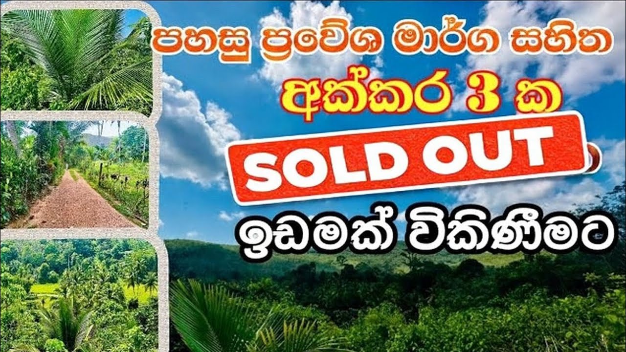 3 Acres Coconut Land Sale In Avissawella - Amithirigala 