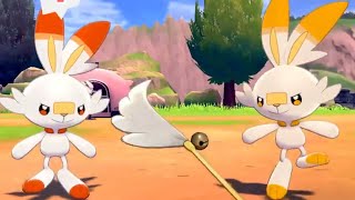 Pokemon Camp Cutest Moments Very Cute