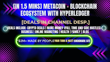 [In 1.5 mins] MetaCoin - Blockchain Ecosystem with Hyperledger [Crypto Deals In Ch. Dep.]