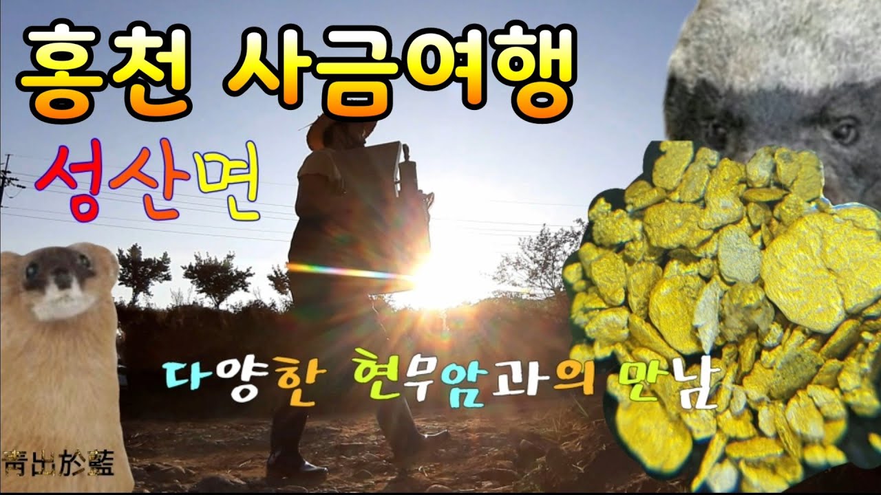 역시 홍천은 사금의 고장이네요! 홍천 성산리 사금여행/사금채취