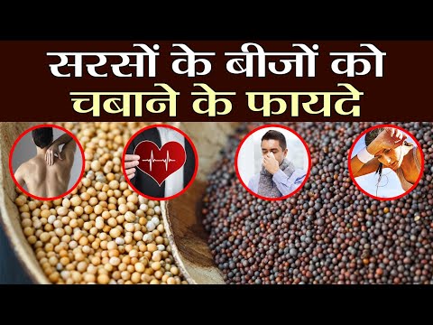 Mustard Seeds: Benefits of Chewing it Raw: सरसों के बीजों को