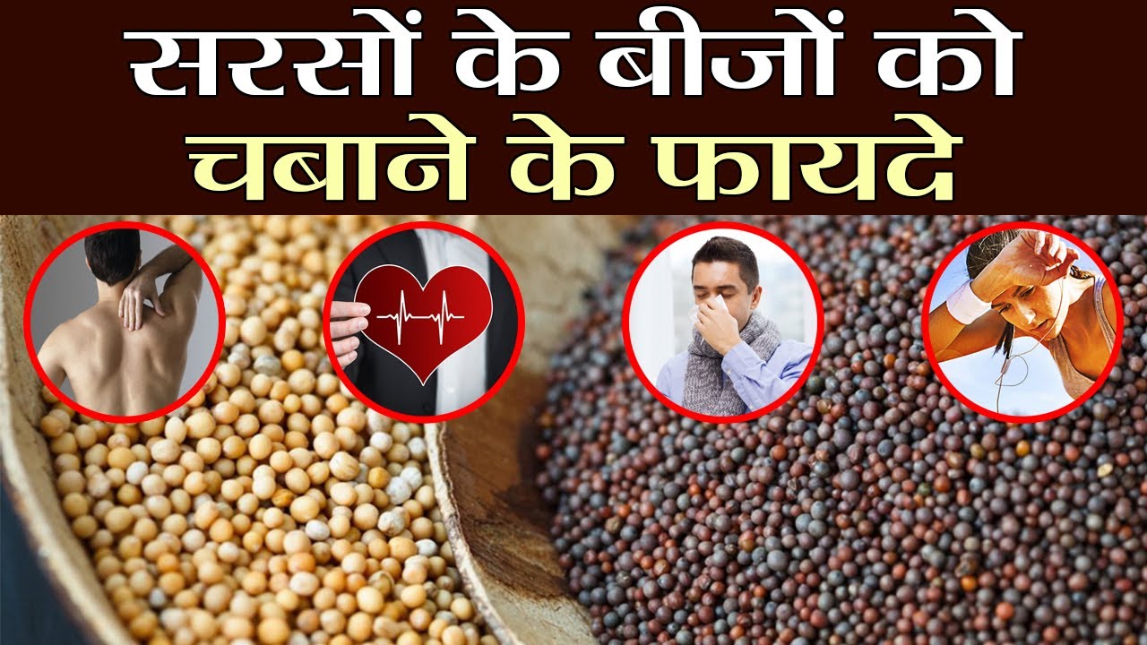 Mustard Seeds Benefits of Chewing it Raw सरसों के बीजों को चबाने के