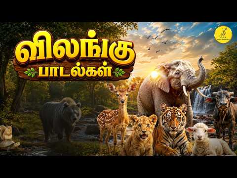 விலங்கு பாடல்கள் | Animal Songs | Zoo Song | Jungle Songs | Tamil Love Songs | 90's Songs