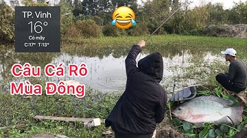 Câu Cá Rô Phi Mùa Đông Hưng Hugo