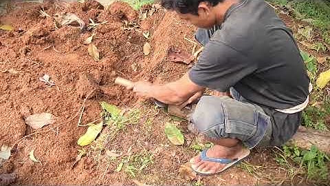 DIY Tool Care: Sharpening a Machete for Wood Gathering _FarmersLife _Shorts