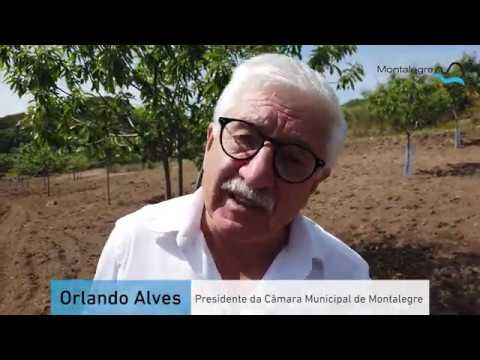 MONTALEGRE | COMBATE À 