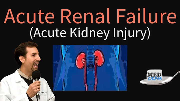 Acute Kidney Injury / Acute Renal Failure Explained Clearly - BUN Creatinine Ratio