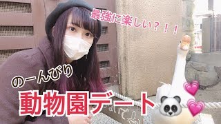 【デート】カップルで動物園に行ってみたら最強に楽しい!?【スカキャン 】【ポンキャン】