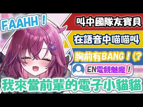 你必須認識的VSPO!EN電子貓貓新人Juno(會狗叫猴叫)在語音喵喵叫又用中文叫寶貝 被聊天室說是EN電競魅魔ww 【Juno Umezono】【VSPO EN/VSPO精華/ぶいすぽ切り抜き】