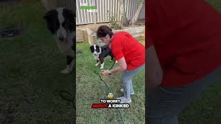 Expandable Garden Hose By Gardenmate Australia