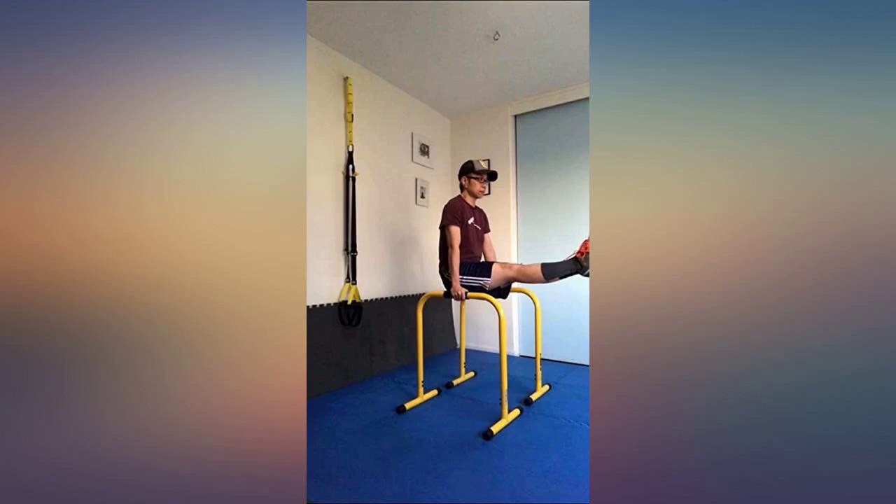 Lebert Fitness EQualizer Total Body Strengthener (Packaging May Vary) review