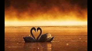 Nanamavunnu Meni Novunnu Ente Kaikal Ninne Moodumbol..!!(Mini Anand)