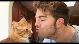 YouTuber Lost It All... Shane Dawson, KSI, Jake Paul, Jada Smith vs Will Smith #GoldenTriangle