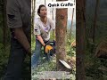 ​The Power of Precision: Perfect Tree Felling!