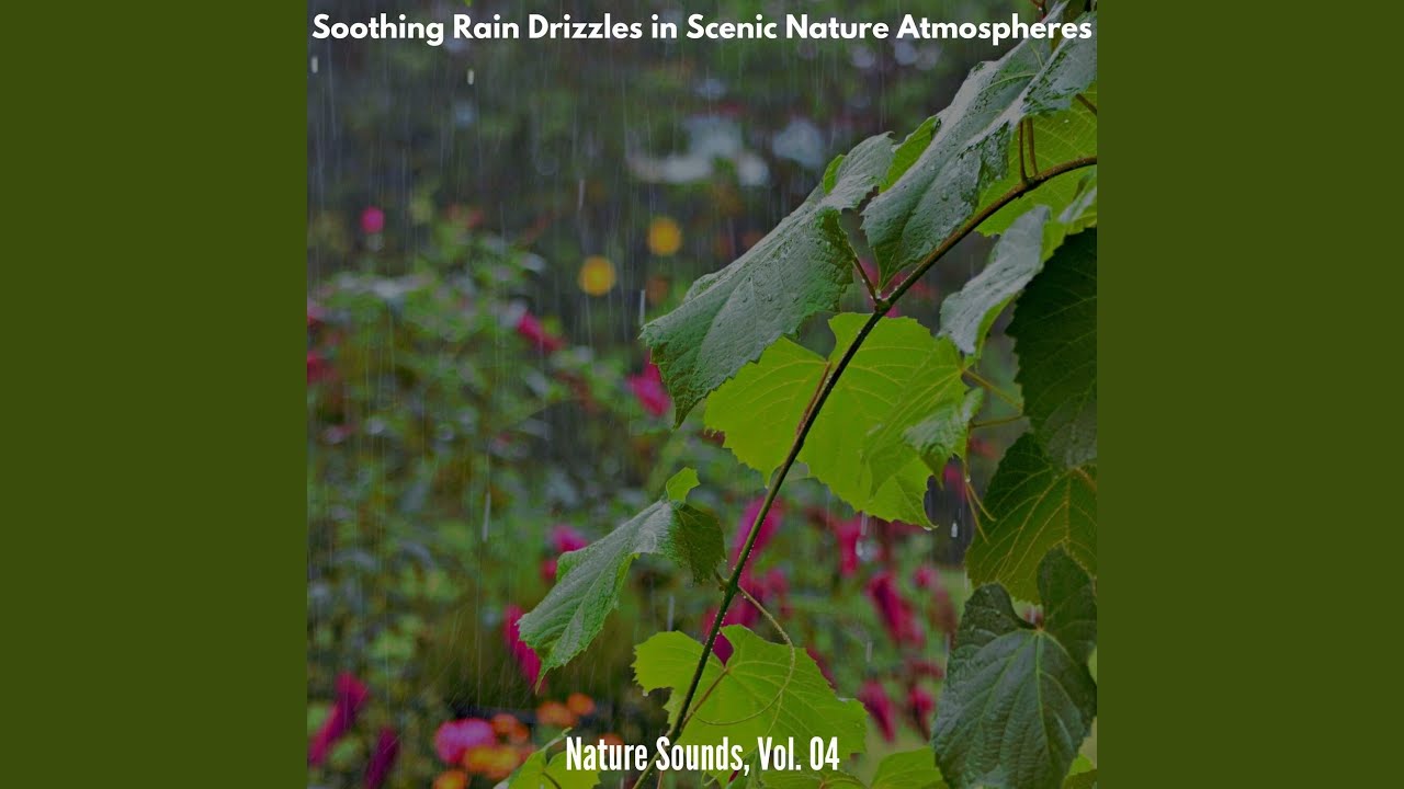 Rare Insects & Birds