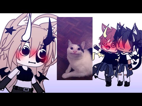 Video #trending : Bắt chước mặt mèo meme || By: Iris ||... - youtube