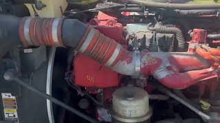 2009 PETERBILT 386 For Sale