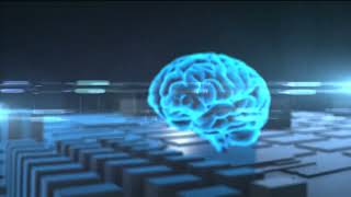 Celebrity Decoding BAM: The Bridge in AI Memory Wealth