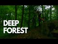 DEEP FOREST - NIK NOVAK