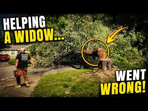 When Good Deeds Go Wrong: Our Church Tree Removal
