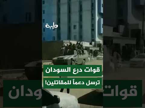 قوات درع السودان ترسل متحركين متحركين أحدهم إلى كردفان والآخر إلى الدمازين 