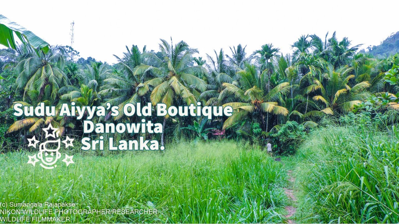 A1 Price In Sri Lanka