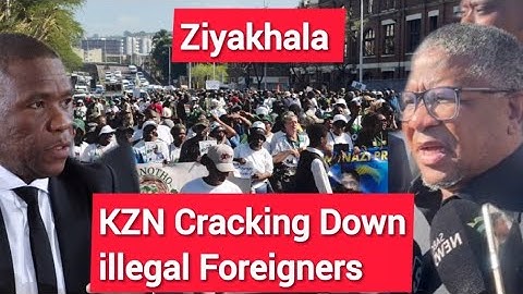 Mkhwanazi, Ntuli & Mbalula warn illegal foreigners | illegal foreigners removed across SA