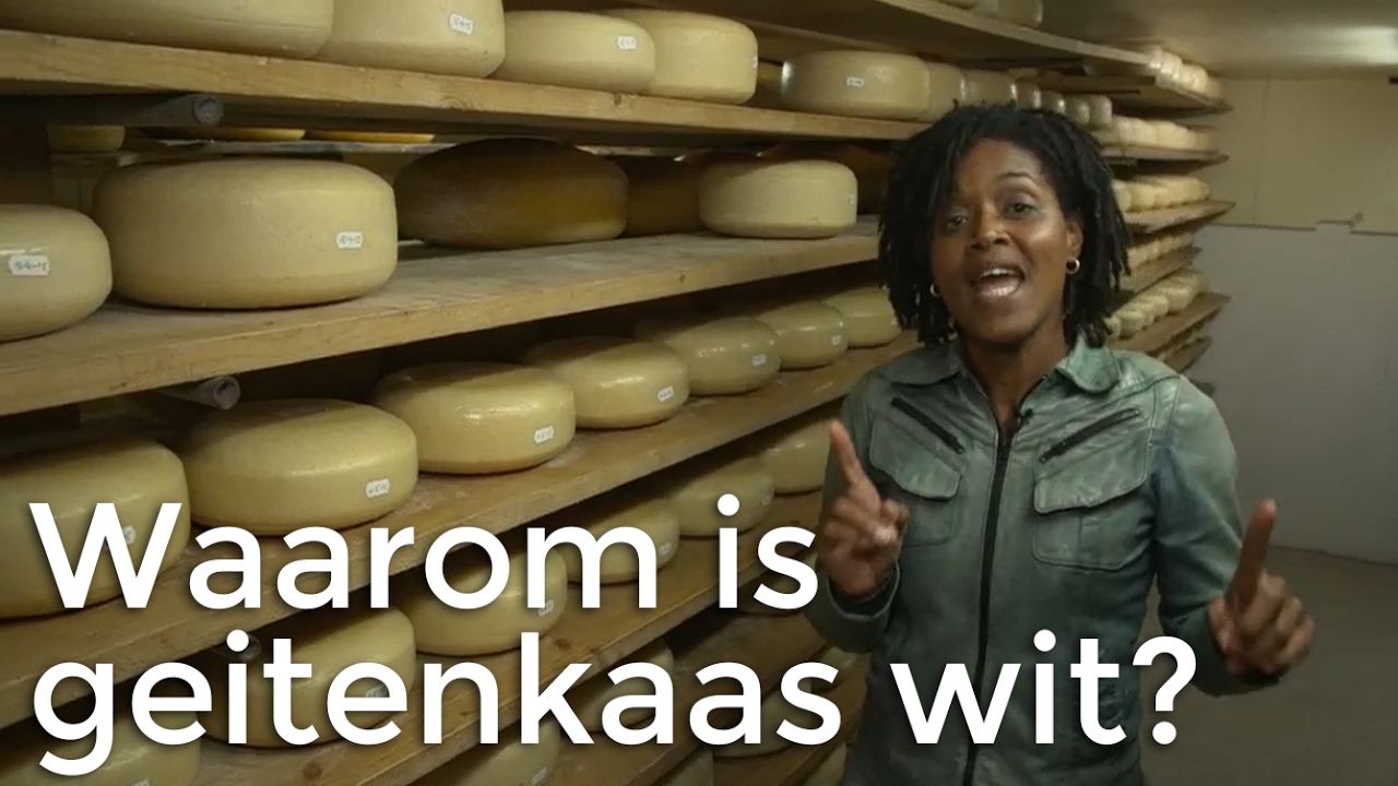 Waarom is geitenkaas wit? | Vragen van Kinderen