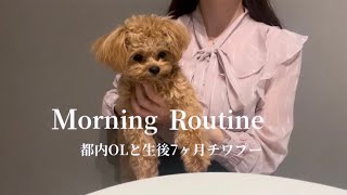 【モーニングルーティン】都内一人暮らしで犬を飼う独身OLの日常 |  生後7ヶ月の愛犬と過ごす幸せな朝 | チワプー | morning routine ☀