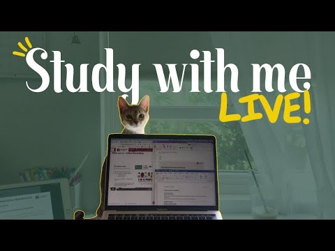 Saturday Surprise Study With Me