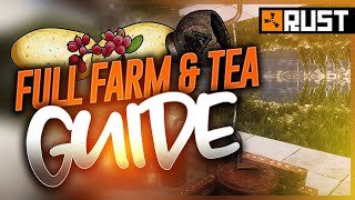 Farming Guide Tea, Berrys, Components, Quality, Stages & More Rust